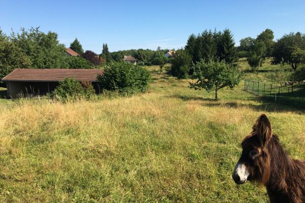 LE PIN - TERRAINS LIBRES CONSTRUCTEUR